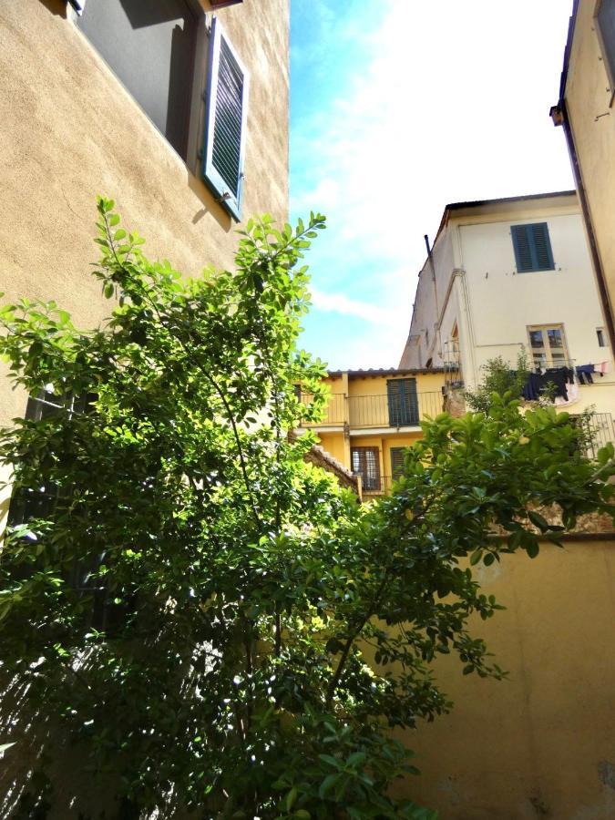 Maila Apartments 25Min From Florence Прато Екстериор снимка